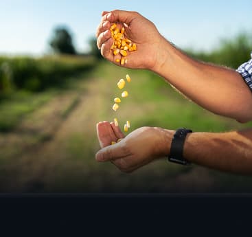 Lanzamientos de producto