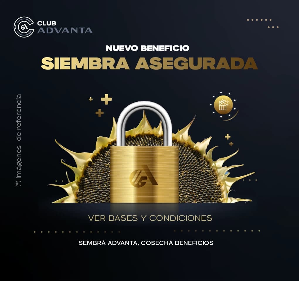 Siembra asegurada